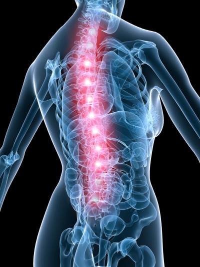 Becken & LWS | Pelvis & Lumbar Spine